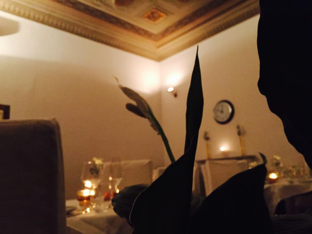 Home Restaurant Hotel Флоренция Стая снимка